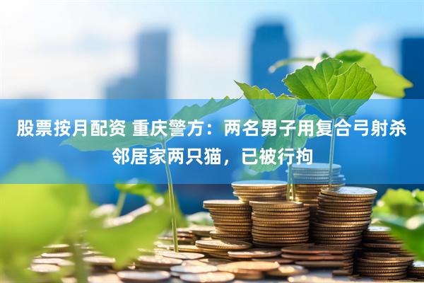 股票按月配资 重庆警方：两名男子用复合弓射杀邻居家两只猫，已被行拘