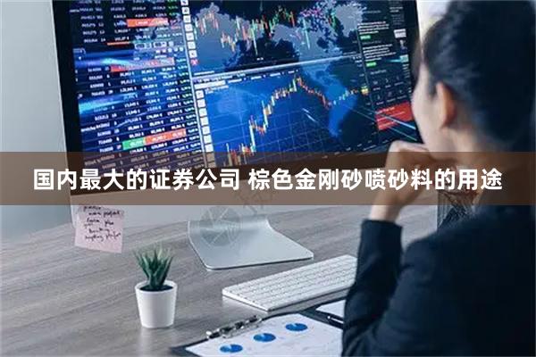 国内最大的证券公司 棕色金刚砂喷砂料的用途