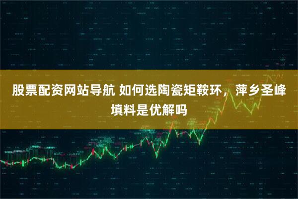 股票配资网站导航 如何选陶瓷矩鞍环，萍乡圣峰填料是优解吗